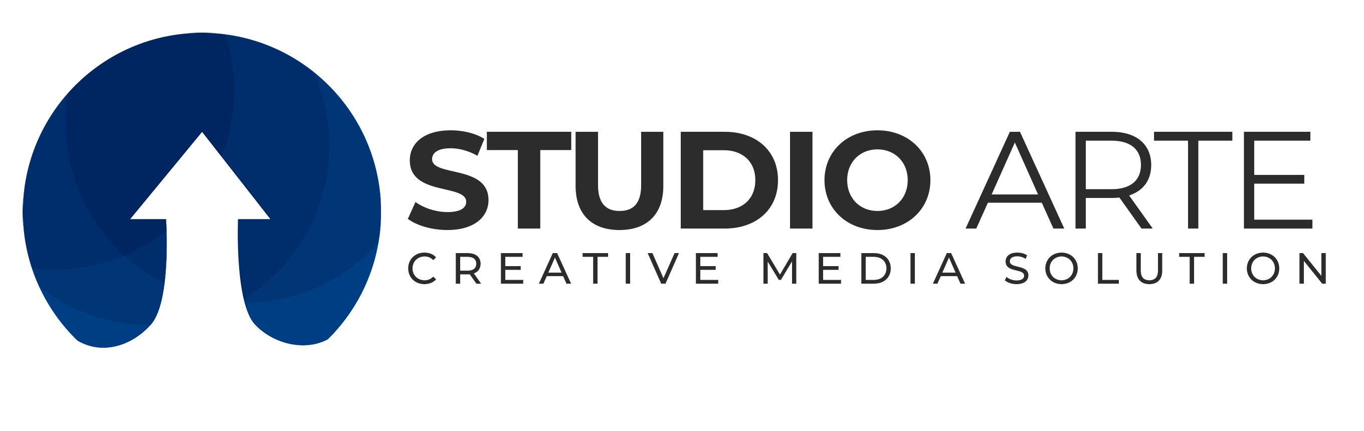 AudioVisual Experts